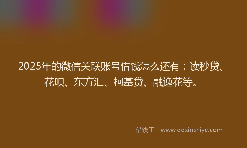 2025年的微信关联账号借钱怎么还有：读秒贷、花呗、东方汇、柯基贷、融逸花等。