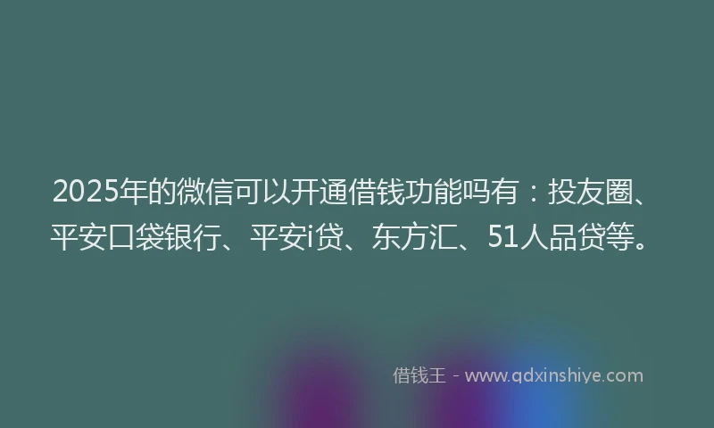 2025年的微信可以开通借钱功能吗有：投友圈、平安口袋银行、平安i贷、东方汇、51人品贷等。