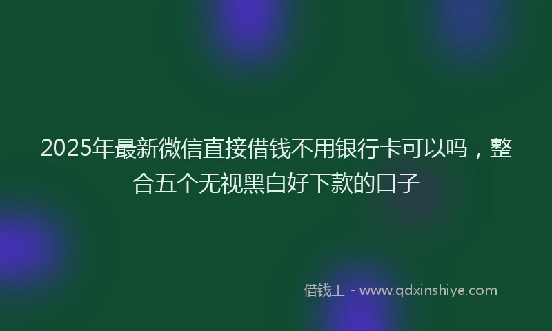 2025年最新微信直接借钱不用银行卡可以吗，整合五个无视黑白好下款的口子