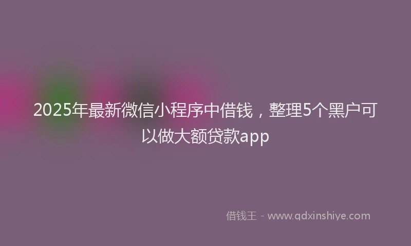 2025年最新微信小程序中借钱，整理5个黑户可以做大额贷款app