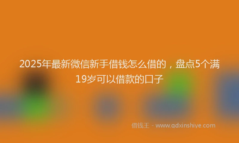 2025年最新微信新手借钱怎么借的，盘点5个满19岁可以借款的口子
