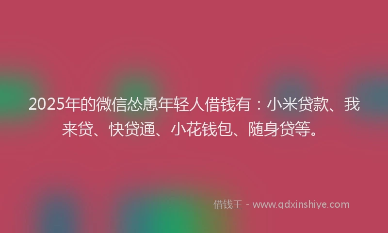 2025年的微信怂恿年轻人借钱有：小米贷款、我来贷、快贷通、小花钱包、随身贷等。