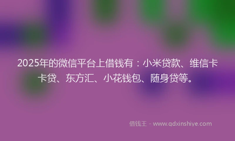 2025年的微信平台上借钱有：小米贷款、维信卡卡贷、东方汇、小花钱包、随身贷等。