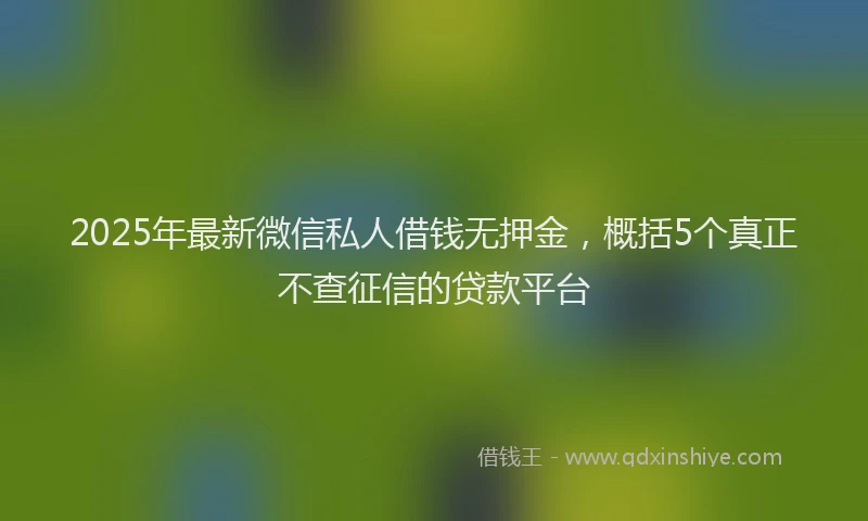 2025年最新微信私人借钱无押金，概括5个真正不查征信的贷款平台