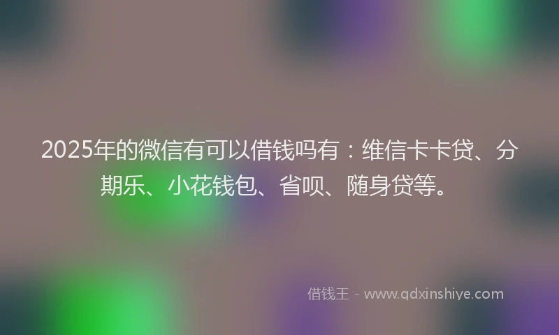 2025年的微信有可以借钱吗有：维信卡卡贷、分期乐、小花钱包、省呗、随身贷等。