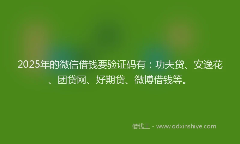 2025年的微信借钱要验证码有：功夫贷、安逸花、团贷网、好期贷、微博借钱等。