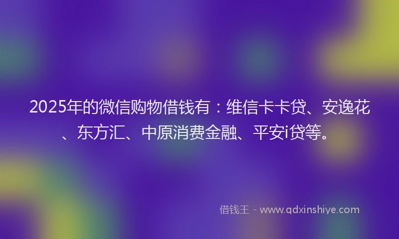 2025年的微信购物借钱有：维信卡卡贷、安逸花、东方汇、中原消费金融、平安i贷等。