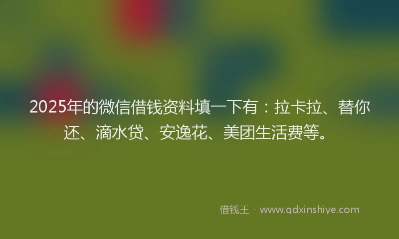 2025年的微信借钱资料填一下有：拉卡拉、替你还、滴水贷、安逸花、美团生活费等。