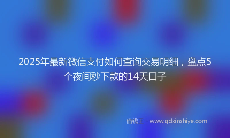 2025年最新微信支付如何查询交易明细，盘点5个夜间秒下款的14天口子