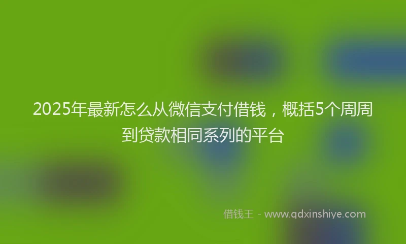 2025年最新怎么从微信支付借钱，概括5个周周到贷款相同系列的平台