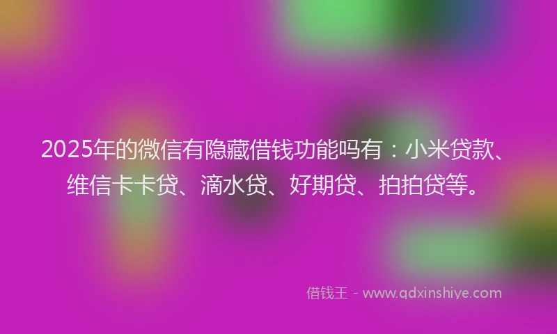 2025年的微信有隐藏借钱功能吗有：小米贷款、维信卡卡贷、滴水贷、好期贷、拍拍贷等。