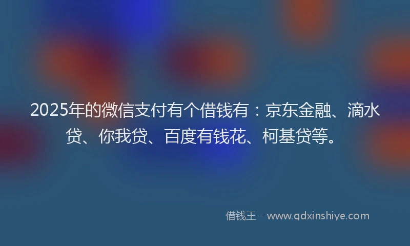 2025年的微信支付有个借钱有：京东金融、滴水贷、你我贷、百度有钱花、柯基贷等。