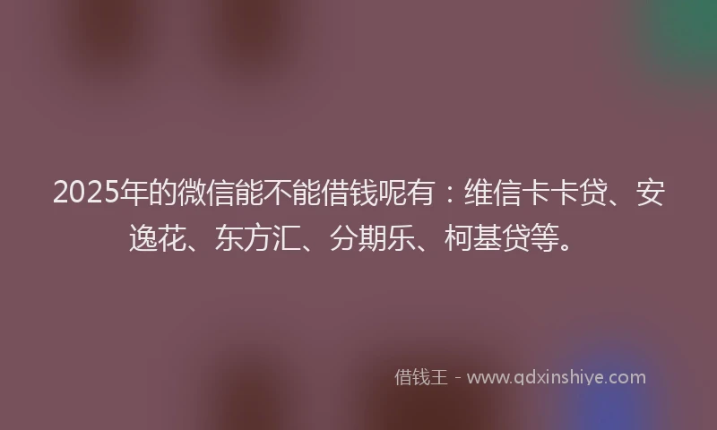 2025年的微信能不能借钱呢有：维信卡卡贷、安逸花、东方汇、分期乐、柯基贷等。