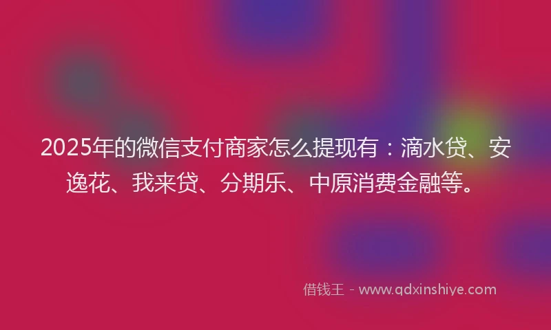 2025年的微信支付商家怎么提现有：滴水贷、安逸花、我来贷、分期乐、中原消费金融等。