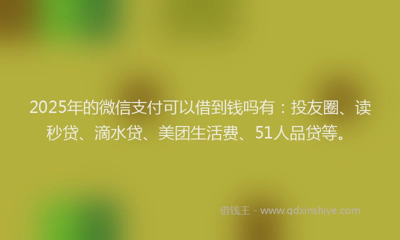 2025年的微信支付可以借到钱吗有：投友圈、读秒贷、滴水贷、美团生活费、51人品贷等。
