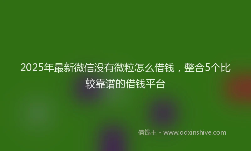 2025年最新微信没有微粒怎么借钱，整合5个比较靠谱的借钱平台