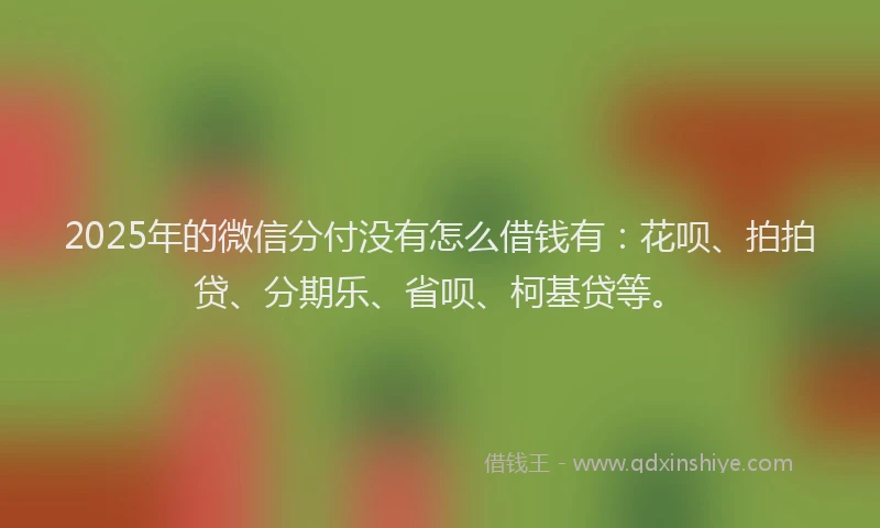 2025年的微信分付没有怎么借钱有：花呗、拍拍贷、分期乐、省呗、柯基贷等。