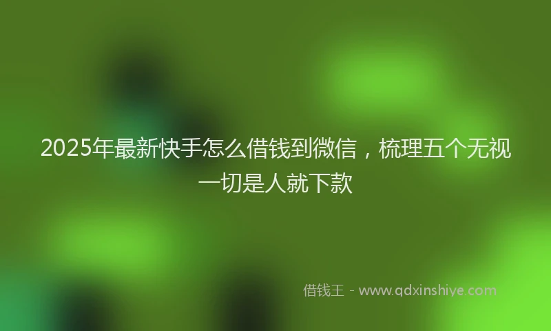 2025年最新快手怎么借钱到微信，梳理五个无视一切是人就下款