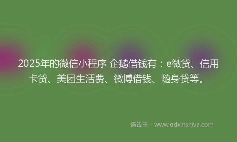 2025年的微信小程序 企鹅借钱有：e微贷、信用卡贷、美团生活费、微博借钱、随身贷等。