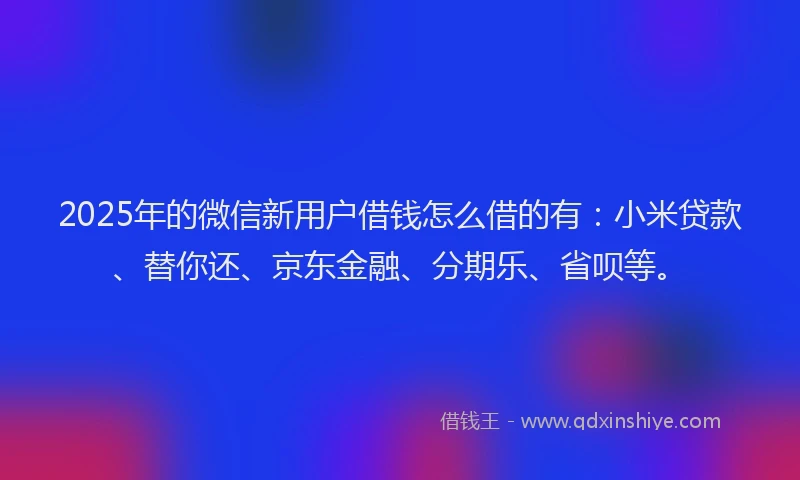 2025年的微信新用户借钱怎么借的有：小米贷款、替你还、京东金融、分期乐、省呗等。