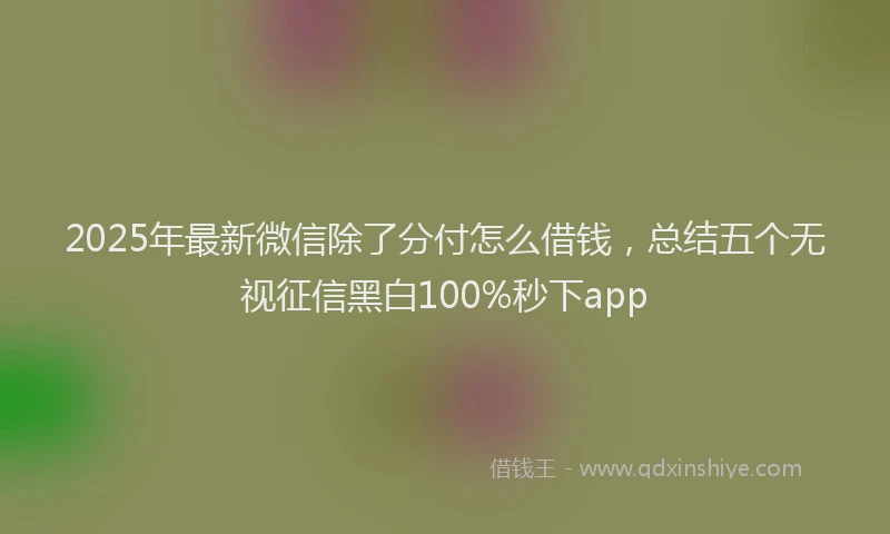2025年最新微信除了分付怎么借钱，总结五个无视征信黑白100%秒下app