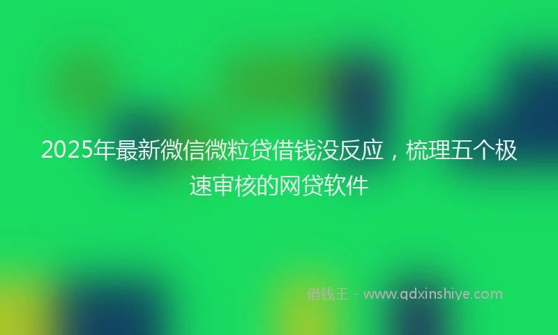 2025年最新微信微粒贷借钱没反应，梳理五个极速审核的网贷软件
