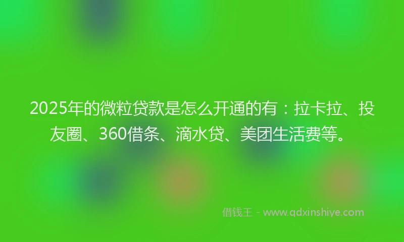 2025年的微粒贷款是怎么开通的有：拉卡拉、投友圈、360借条、滴水贷、美团生活费等。