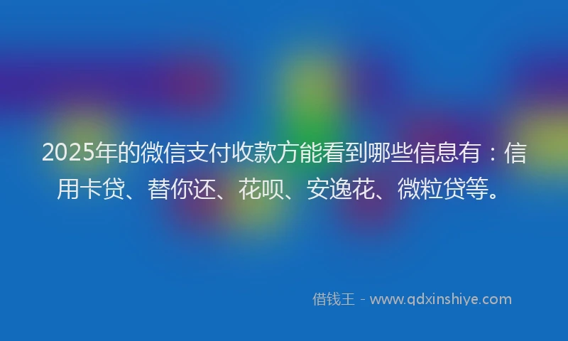 2025年的微信支付收款方能看到哪些信息有：信用卡贷、替你还、花呗、安逸花、微粒贷等。