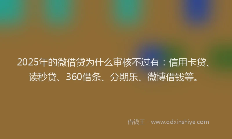 2025年的微借贷为什么审核不过有：信用卡贷、读秒贷、360借条、分期乐、微博借钱等。