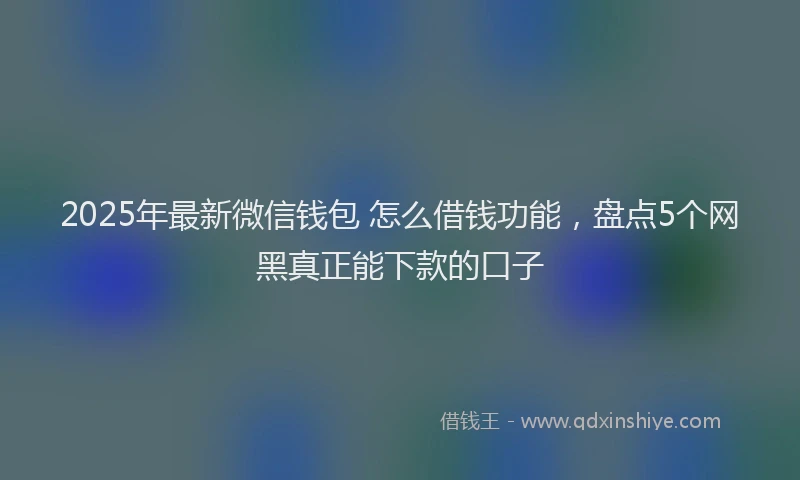 2025年最新微信钱包 怎么借钱功能，盘点5个网黑真正能下款的口子