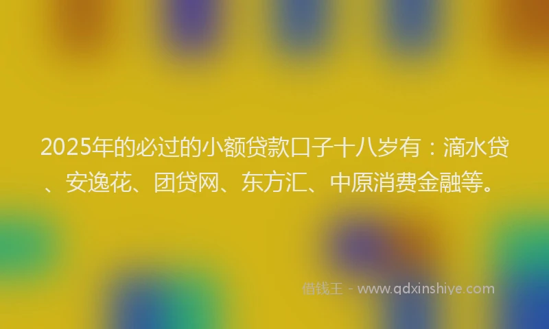2025年的必过的小额贷款口子十八岁有：滴水贷、安逸花、团贷网、东方汇、中原消费金融等。