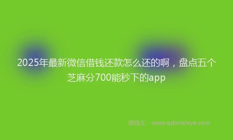 2025年最新微信借钱还款怎么还的啊，盘点五个芝麻分700能秒下的app