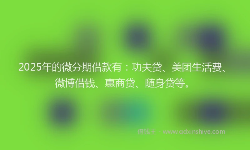 2025年的微分期借款有：功夫贷、美团生活费、微博借钱、惠商贷、随身贷等。