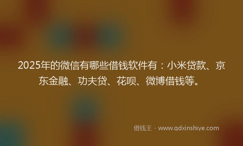 2025年的微信有哪些借钱软件有：小米贷款、京东金融、功夫贷、花呗、微博借钱等。