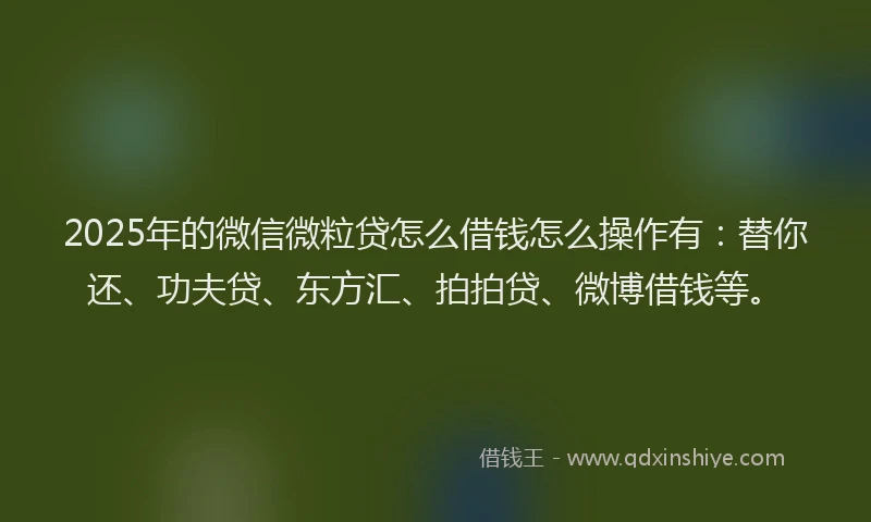 2025年的微信微粒贷怎么借钱怎么操作有：替你还、功夫贷、东方汇、拍拍贷、微博借钱等。