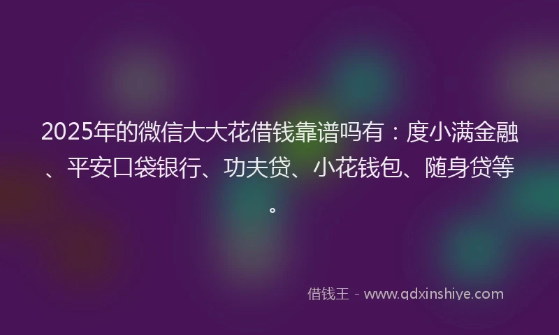 2025年的微信大大花借钱靠谱吗有：度小满金融、平安口袋银行、功夫贷、小花钱包、随身贷等。