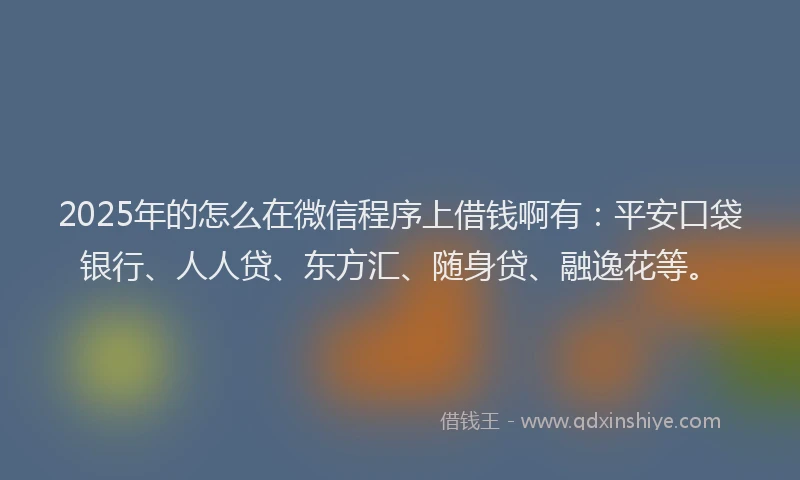 2025年的怎么在微信程序上借钱啊有：平安口袋银行、人人贷、东方汇、随身贷、融逸花等。