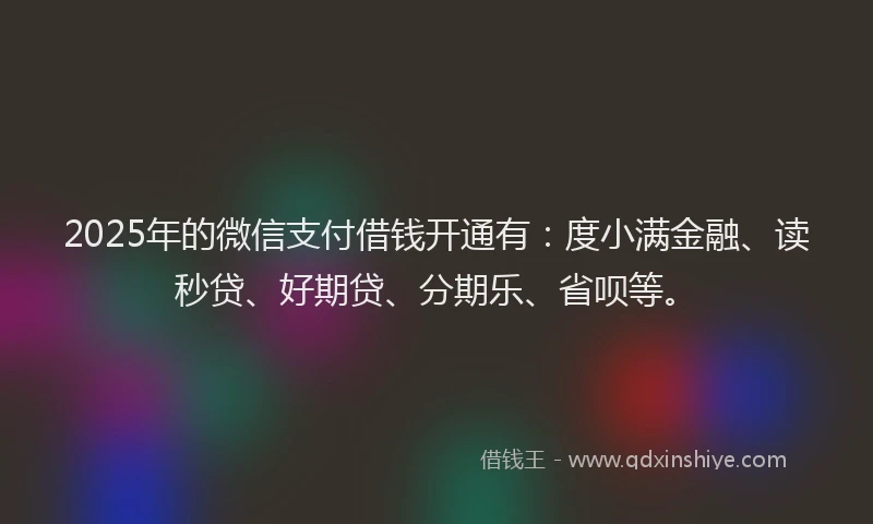 2025年的微信支付借钱开通有：度小满金融、读秒贷、好期贷、分期乐、省呗等。