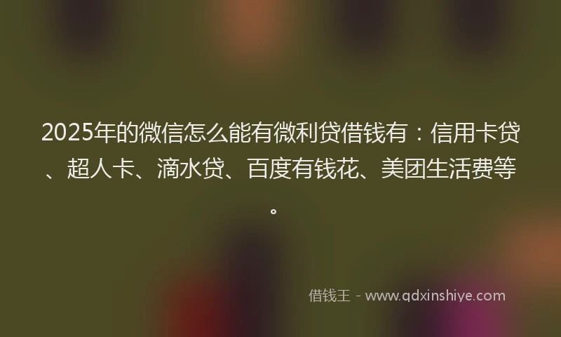 2025年的微信怎么能有微利贷借钱有：信用卡贷、超人卡、滴水贷、百度有钱花、美团生活费等。