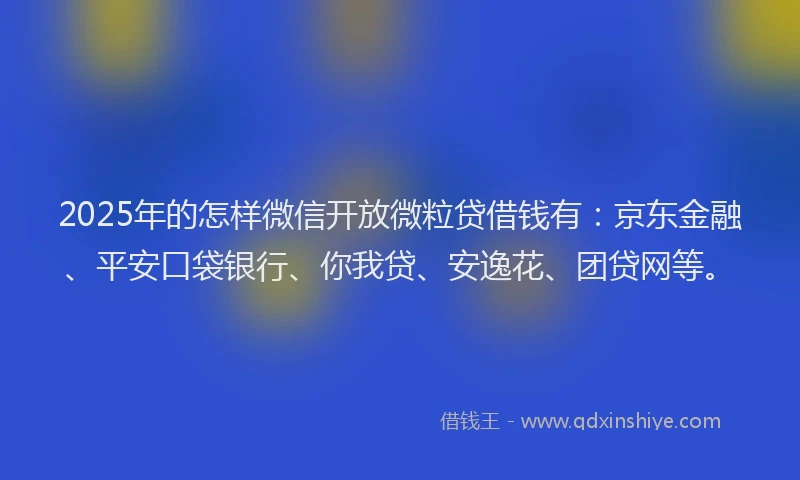 2025年的怎样微信开放微粒贷借钱有：京东金融、平安口袋银行、你我贷、安逸花、团贷网等。