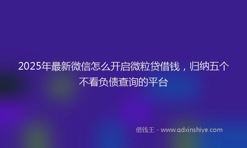 2025年最新微信怎么开启微粒贷借钱，归纳五个不看负债查询的平台