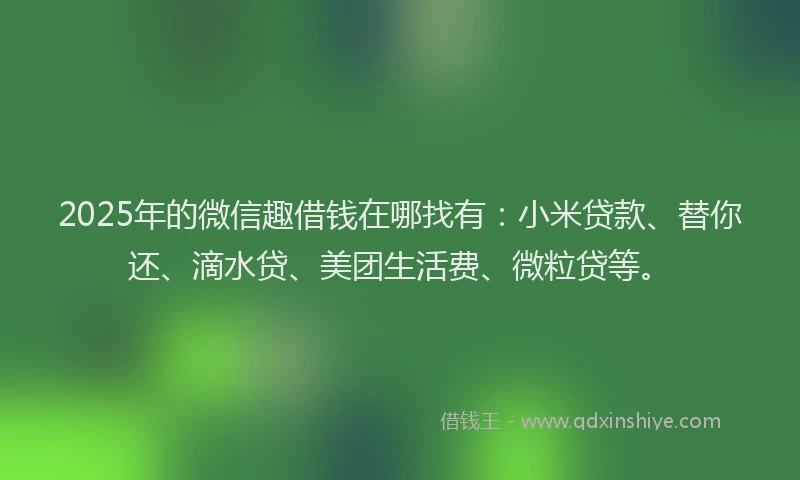 2025年的微信趣借钱在哪找有：小米贷款、替你还、滴水贷、美团生活费、微粒贷等。