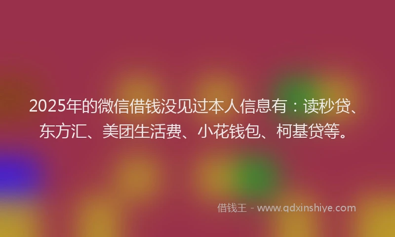 2025年的微信借钱没见过本人信息有：读秒贷、东方汇、美团生活费、小花钱包、柯基贷等。