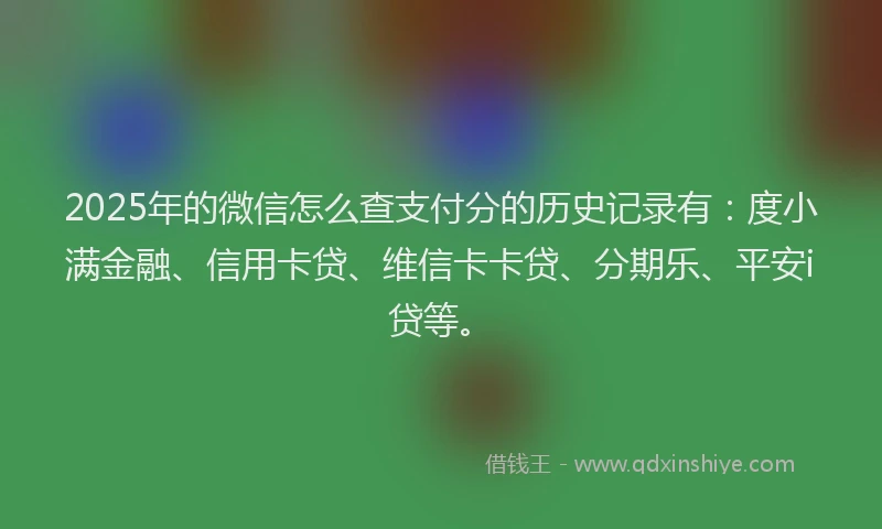 2025年的微信怎么查支付分的历史记录有：度小满金融、信用卡贷、维信卡卡贷、分期乐、平安i贷等。