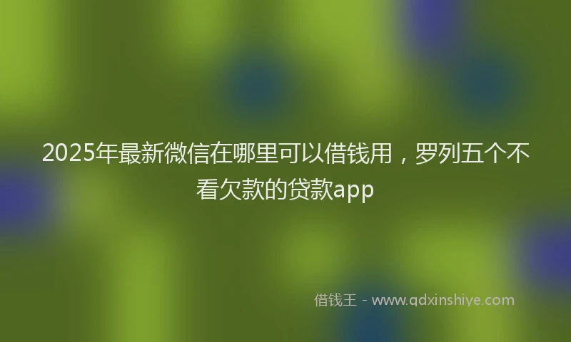 2025年最新微信在哪里可以借钱用，罗列五个不看欠款的贷款app
