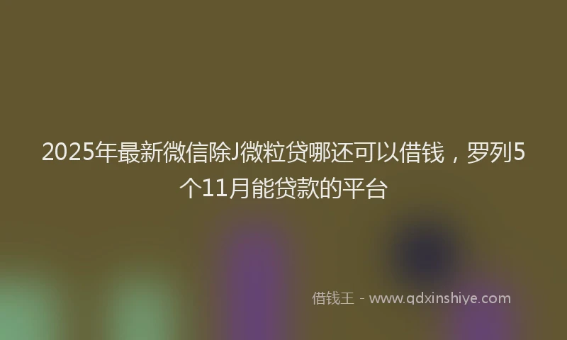 2025年最新微信除J微粒贷哪还可以借钱，罗列5个11月能贷款的平台