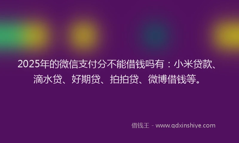 2025年的微信支付分不能借钱吗有：小米贷款、滴水贷、好期贷、拍拍贷、微博借钱等。