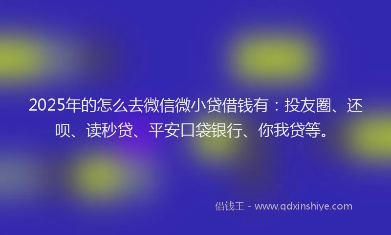 2025年的怎么去微信微小贷借钱有：投友圈、还呗、读秒贷、平安口袋银行、你我贷等。