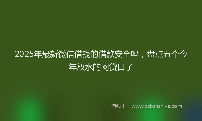 2025年最新微信借钱的借款安全吗，盘点五个今年放水的网贷口子