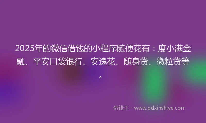 2025年的微信借钱的小程序随便花有：度小满金融、平安口袋银行、安逸花、随身贷、微粒贷等。